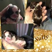 Small Photo #1 Shih Tzu Puppy For Sale in ASHVILLE, OH, USA