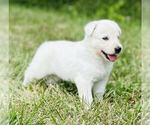 Image preview for Ad Listing. Nickname: Skye