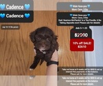 Image preview for Ad Listing. Nickname: Cadence