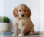 Image preview for Ad Listing. Nickname: Bryce