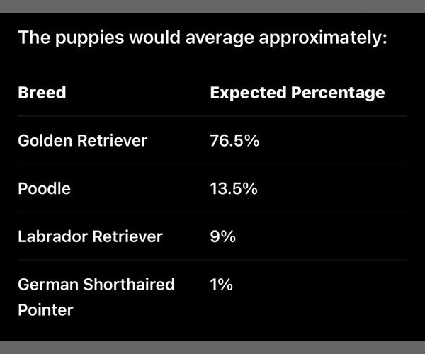 Medium Photo #9 Goldendoodle (Miniature) Puppy For Sale in GROVE CITY, OH, USA