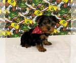 Image preview for Ad Listing. Nickname: Tiny Cooper