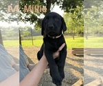 Image preview for Ad Listing. Nickname: Millie