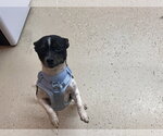 Small #2 Breeder Profile image