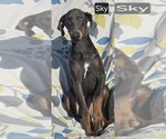 Image preview for Ad Listing. Nickname: Sky