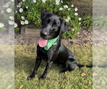 Small #3 Breeder Profile image
