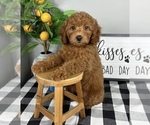 Image preview for Ad Listing. Nickname: Greyson