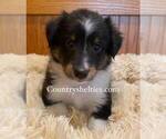 Image preview for Ad Listing. Nickname: Tri Boy 3