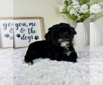 Image preview for Ad Listing. Nickname: Jewel