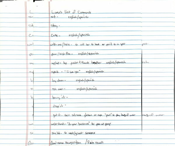 Medium Photo #7 American Pit Bull Terrier-Unknown Mix Puppy For Sale in Visalia, CA, USA