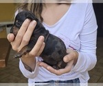 Image preview for Ad Listing. Nickname: Female