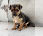Image preview for Ad Listing. Nickname: Lilly