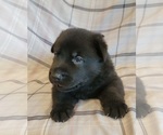 Image preview for Ad Listing. Nickname: midnight
