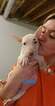Small Photo #91 Bull Terrier Puppy For Sale in JACKSON, MI, USA