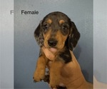 Image preview for Ad Listing. Nickname: Sally