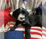 Image preview for Ad Listing. Nickname: Caroline
