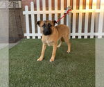 Small #1 Breeder Profile image