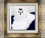 Small #4 Maltese