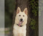 Small #2 Breeder Profile image