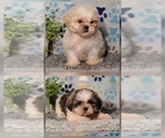 Image preview for Ad Listing. Nickname: Peter Pepper