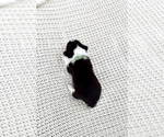 Small Photo #10 Pembroke Welsh Corgi Puppy For Sale in SOULSBYVILLE, CA, USA