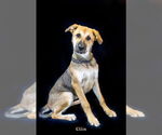 Small #2 Mutt