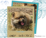 Image preview for Ad Listing. Nickname: Chief