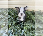 Image preview for Ad Listing. Nickname: Jack