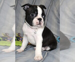 Image preview for Ad Listing. Nickname: Luca