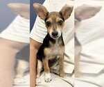 Small #3 Breeder Profile image