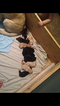 Small Photo #1 Labrador Retriever Puppy For Sale in DIXON, MO, USA
