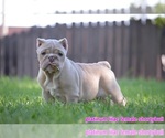 Image preview for Ad Listing. Nickname: Platinum