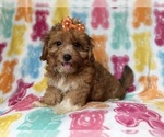 Image preview for Ad Listing. Nickname: Bree