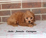 Image preview for Ad Listing. Nickname: Jade