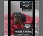Image preview for Ad Listing. Nickname: Marcus