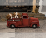 Small Cavalier King Charles Spaniel