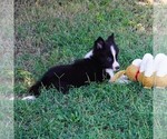 Image preview for Ad Listing. Nickname: Susie