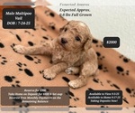 Image preview for Ad Listing. Nickname: Vail