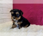 Image preview for Ad Listing. Nickname: Dulia