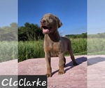 Image preview for Ad Listing. Nickname: Clarke
