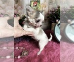 Image preview for Ad Listing. Nickname: Sophie