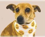 Small #3 Breeder Profile image
