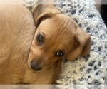 Image preview for Ad Listing. Nickname: Taki