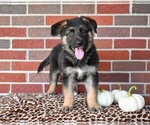 Image preview for Ad Listing. Nickname: Austin