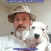 Small Photo #120 Dogo Argentino Puppy For Sale in PINEVILLE, MO, USA