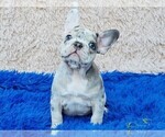 Image preview for Ad Listing. Nickname: Hanke