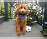 Image preview for Ad Listing. Nickname: Chase