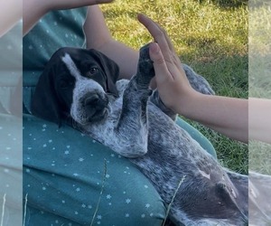 Medium Pointer
