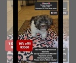 Image preview for Ad Listing. Nickname: Kenzie