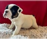 Image preview for Ad Listing. Nickname: Olaf